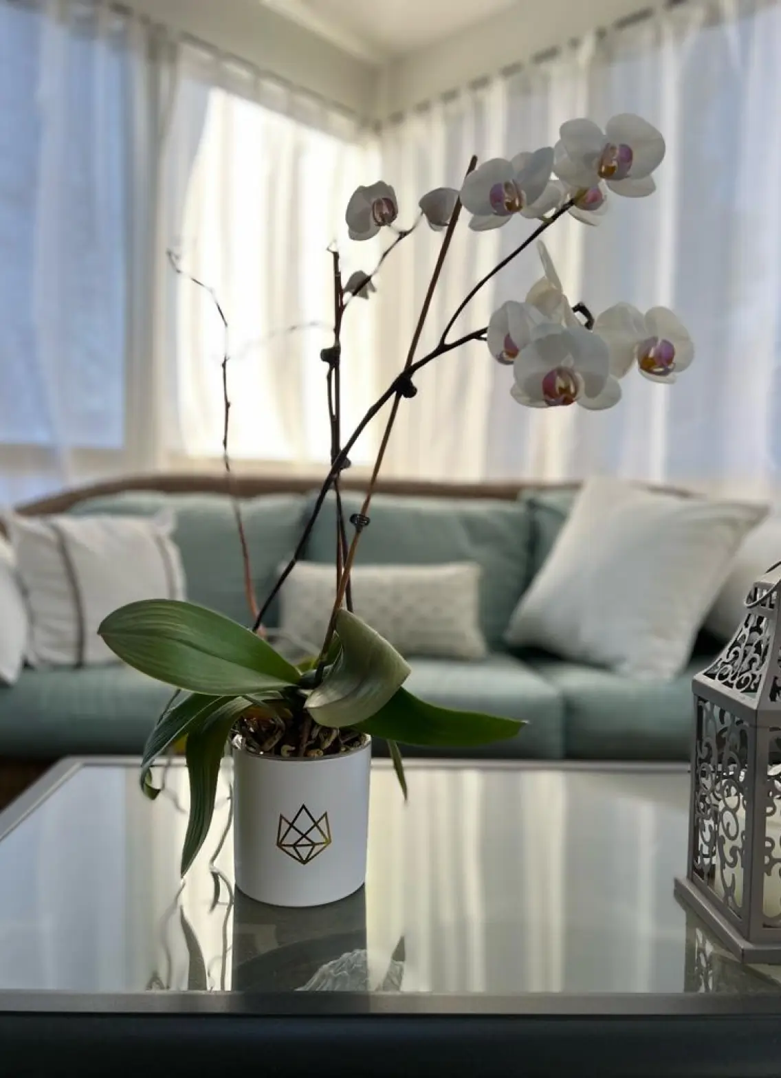 Mindful Living