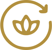 Therapeutic Essential Oils